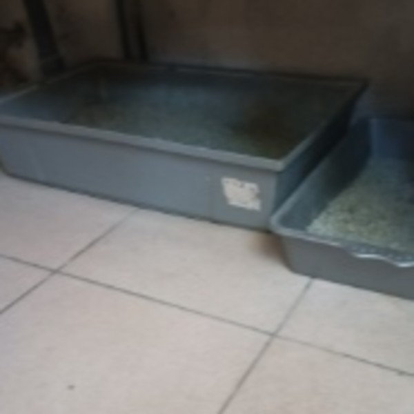 Foto dell'alloggio