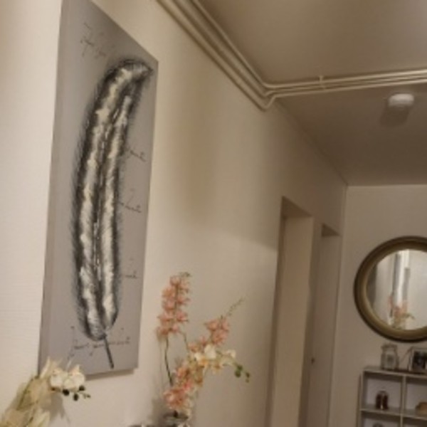 Foto dell'alloggio