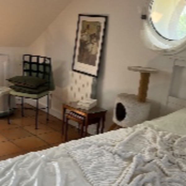 Foto dell'alloggio