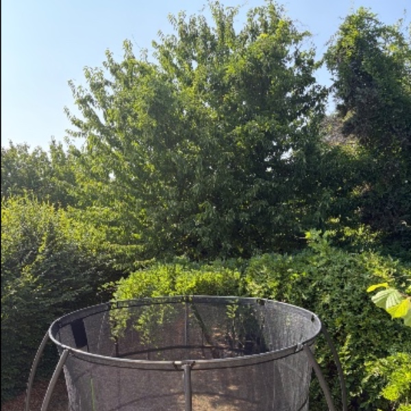 Foto dell'alloggio