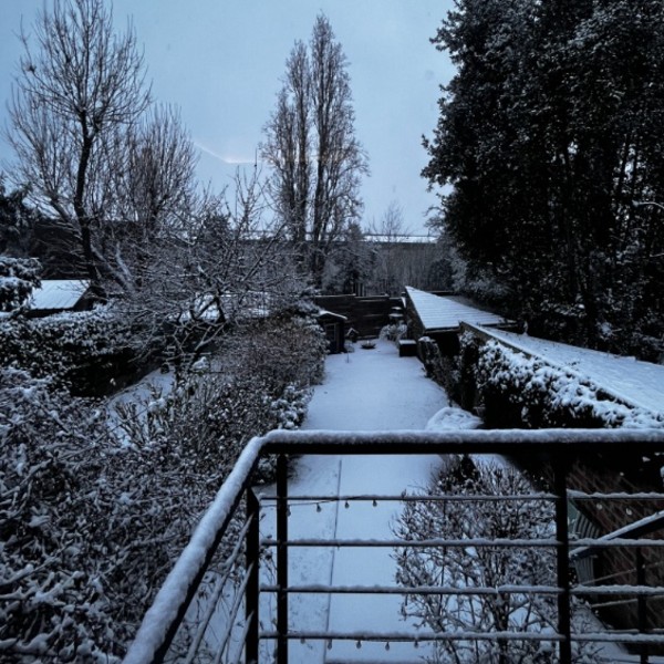 Foto dell'alloggio