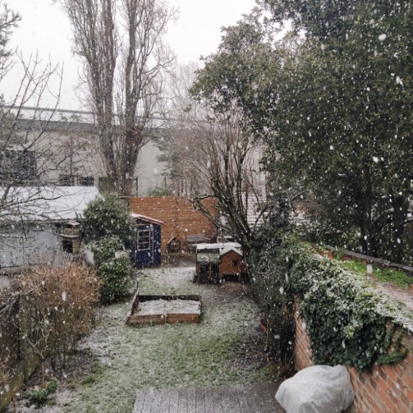 Foto dell'alloggio