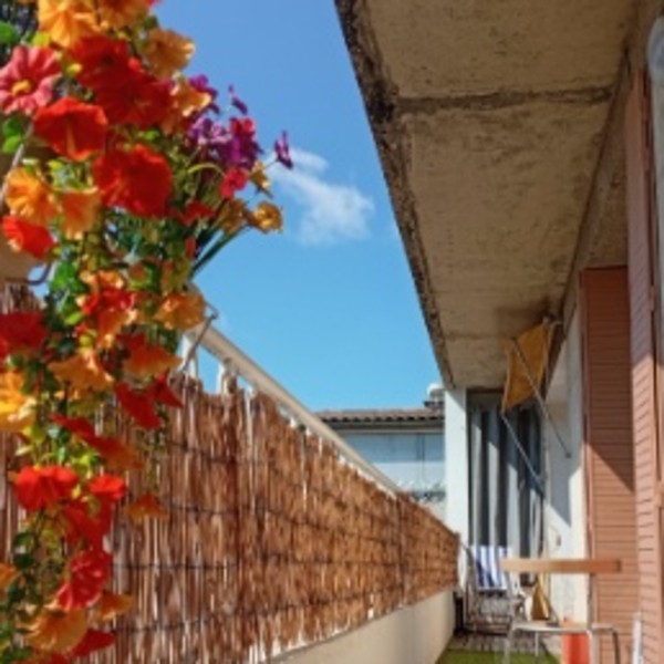 Foto dell'alloggio