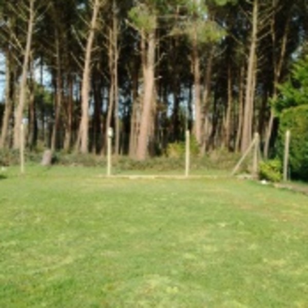 Foto dell'alloggio