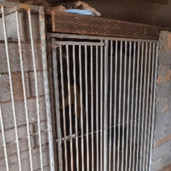 Foto dell'alloggio