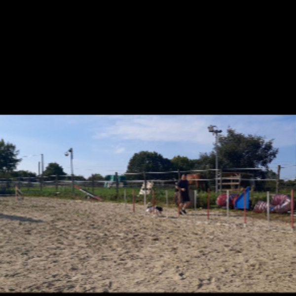Foto dell'alloggio