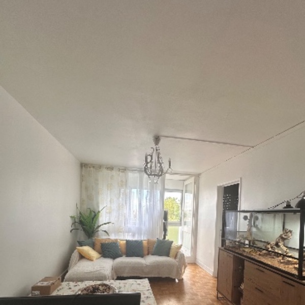 Foto dell'alloggio