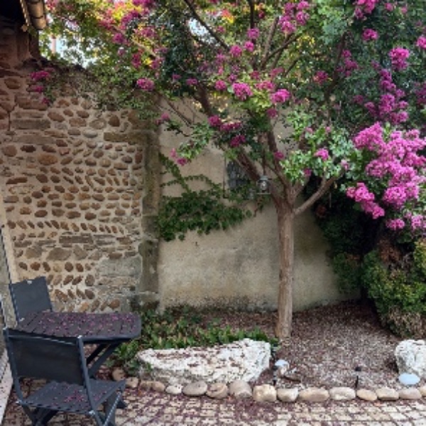 Foto dell'alloggio
