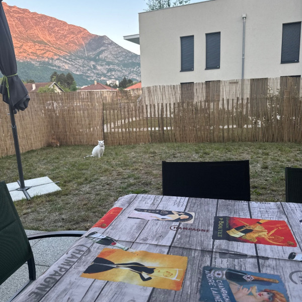 Foto dell'alloggio
