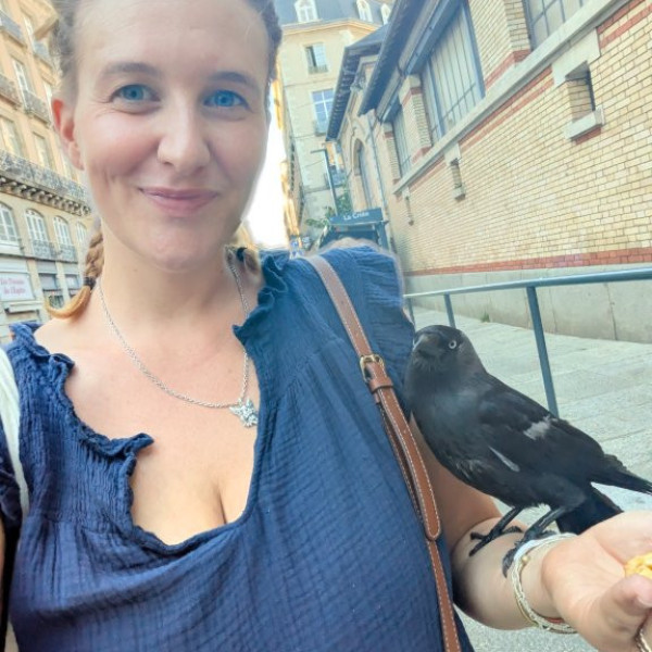 Foto dell'alloggio