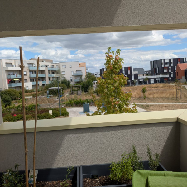 Foto dell'alloggio
