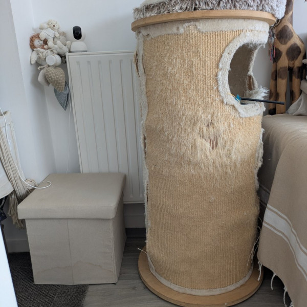 Foto dell'alloggio