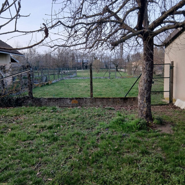 Foto dell'alloggio