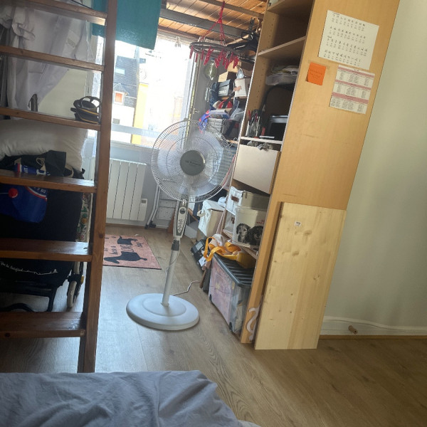Foto dell'alloggio
