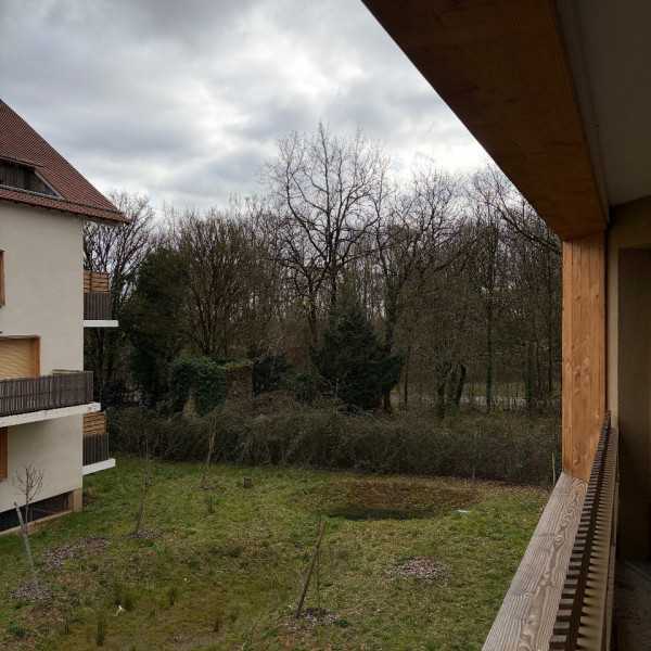Foto dell'alloggio