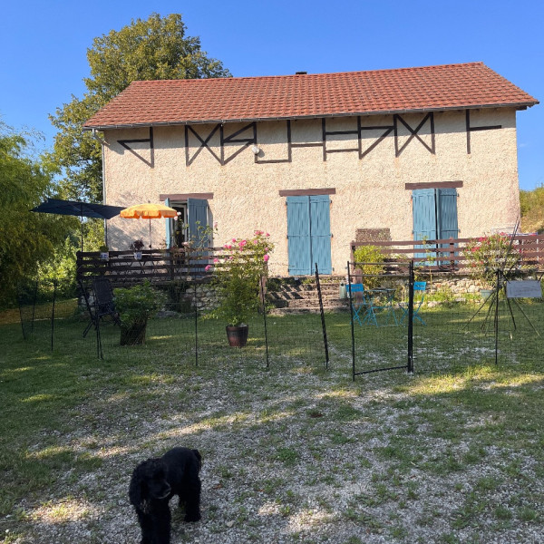 Foto dell'alloggio