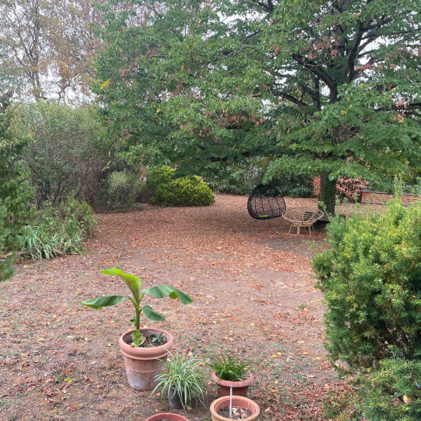 Foto dell'alloggio