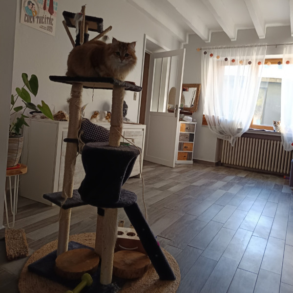 Foto dell'alloggio