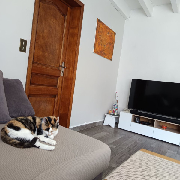 Foto dell'alloggio