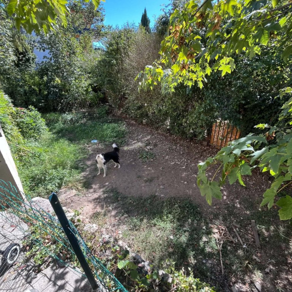 Foto dell'alloggio