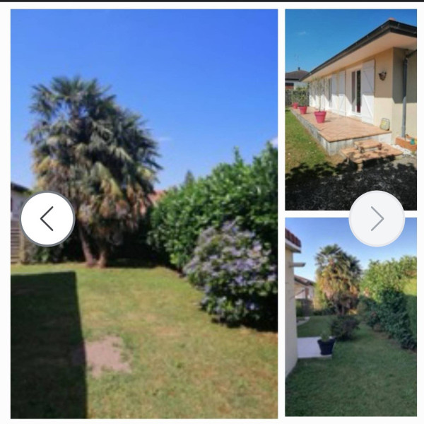 Foto dell'alloggio