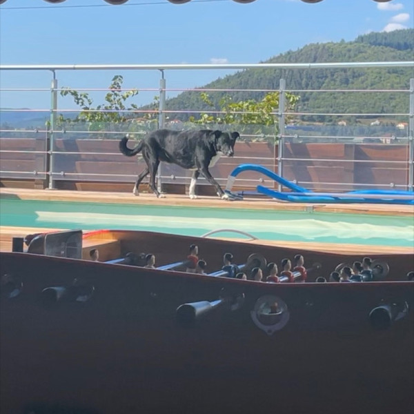 Foto dell'alloggio