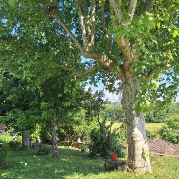 Foto dell'alloggio