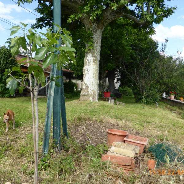 Foto dell'alloggio