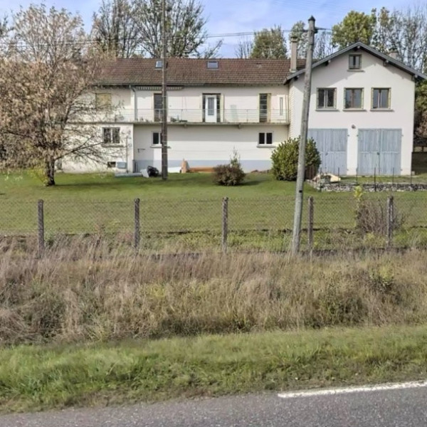 Foto dell'alloggio