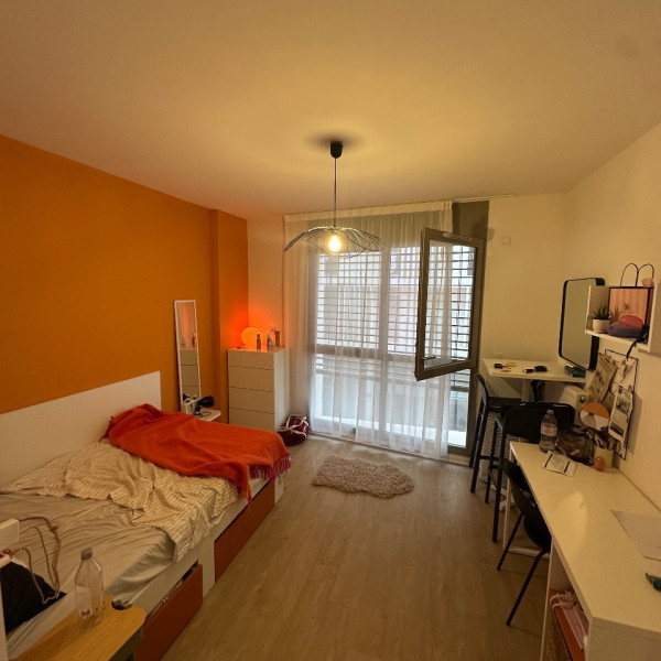 Foto dell'alloggio