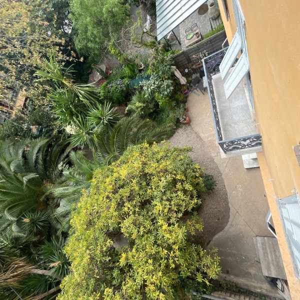 Foto dell'alloggio