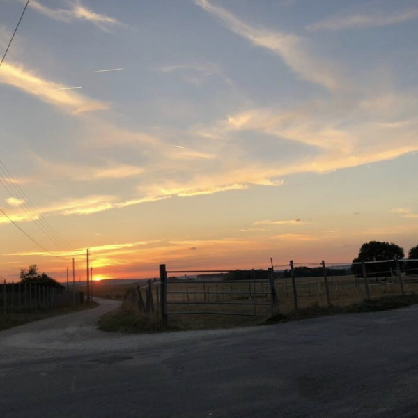 Foto dell'alloggio