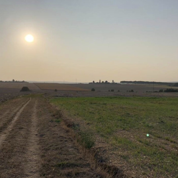 Foto dell'alloggio