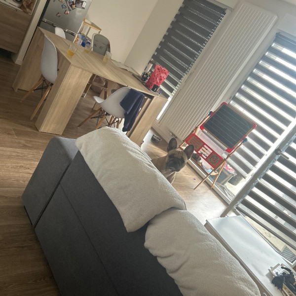 Foto dell'alloggio