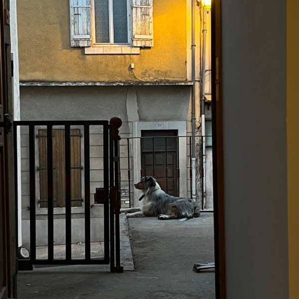 Foto dell'alloggio