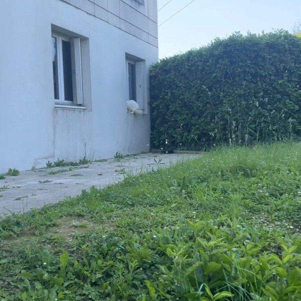 Foto dell'alloggio