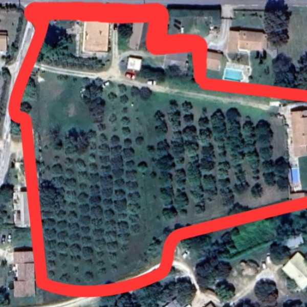Foto dell'alloggio