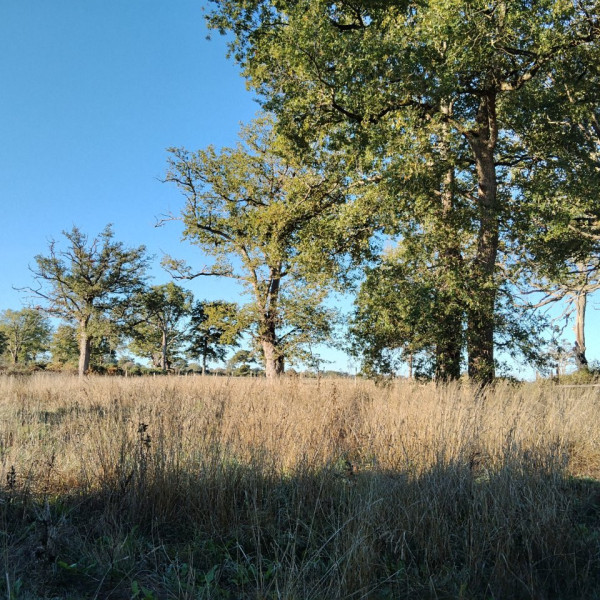 Foto dell'alloggio