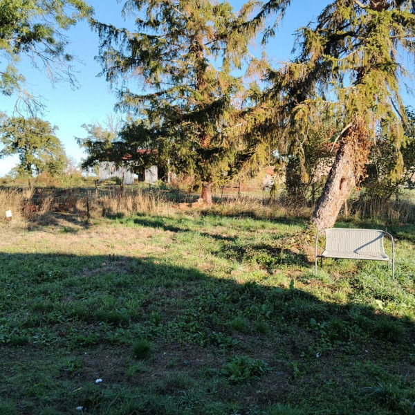 Foto dell'alloggio