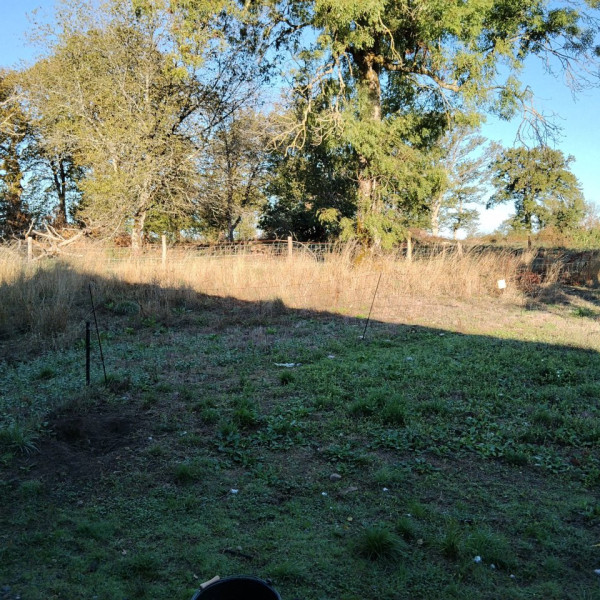 Foto dell'alloggio