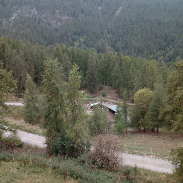 Foto dell'alloggio