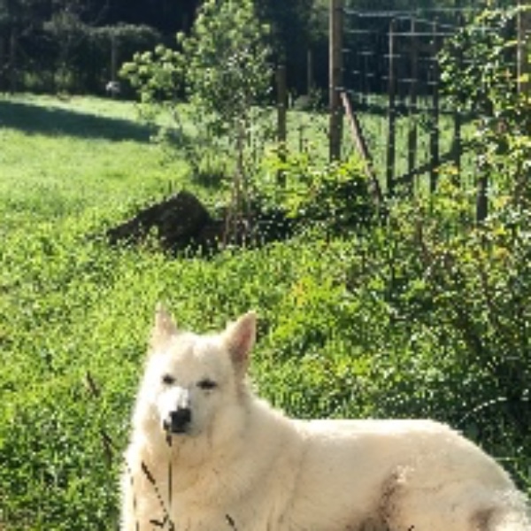 Foto dell'alloggio