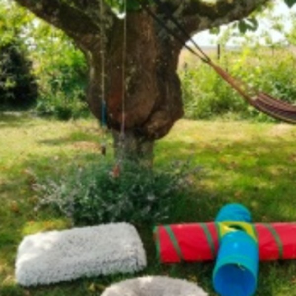 Foto dell'alloggio
