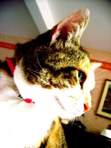 MATHILDE