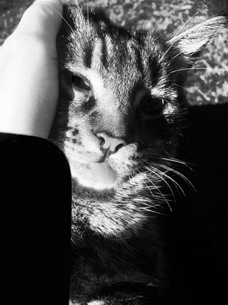 Maëlyse