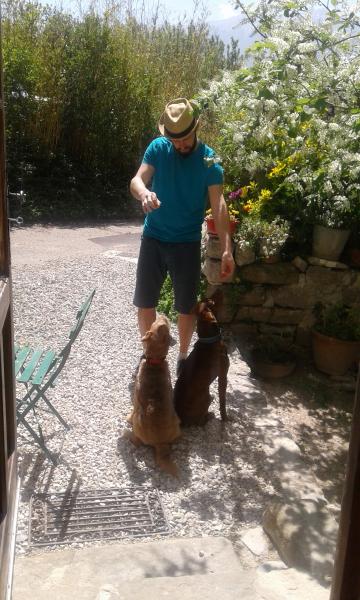 David