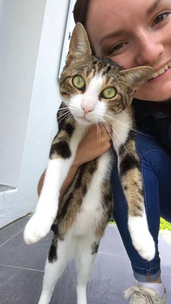 Chloé