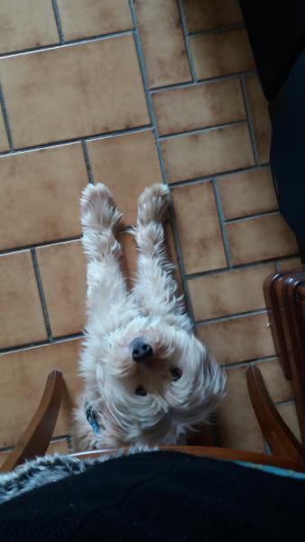 Camille
