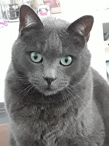 Bérengère