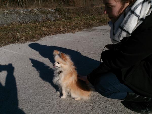Esther